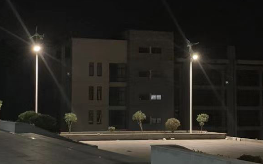 學校(xiào)風(fēng)光(guāng)路(lù)燈